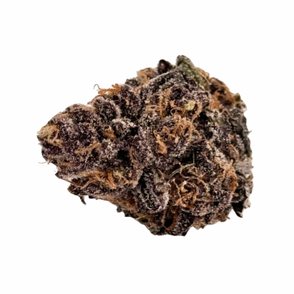 Blueberry Muffin Flower