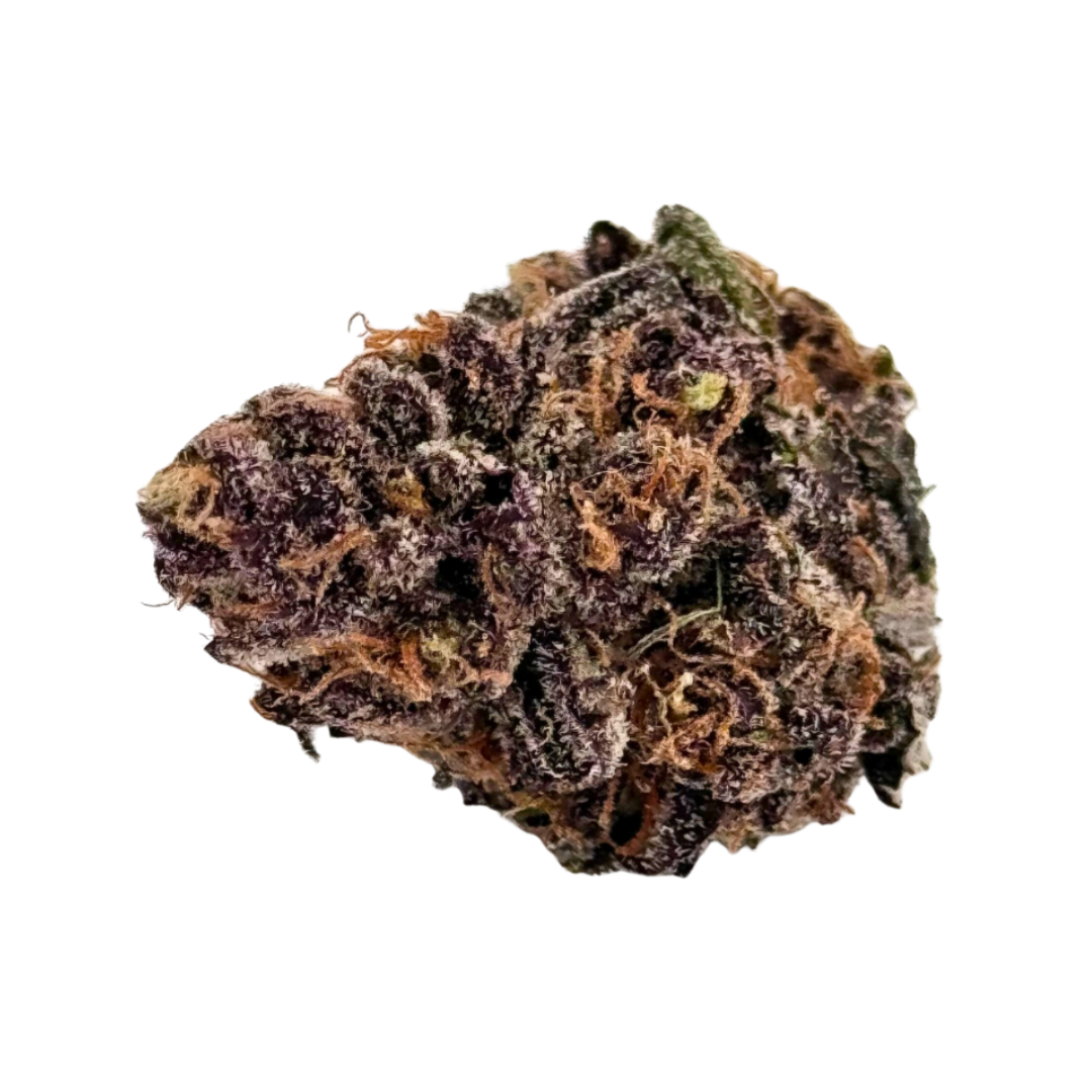Blueberry Muffin Flower