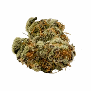 Granddaddy Purple Flower