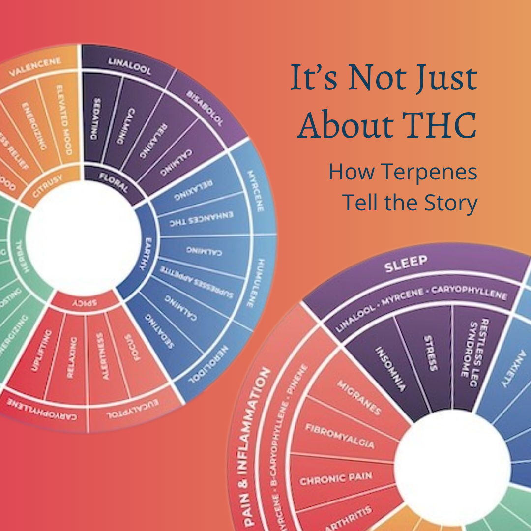 How Terpenes Tell the Story Post Cover