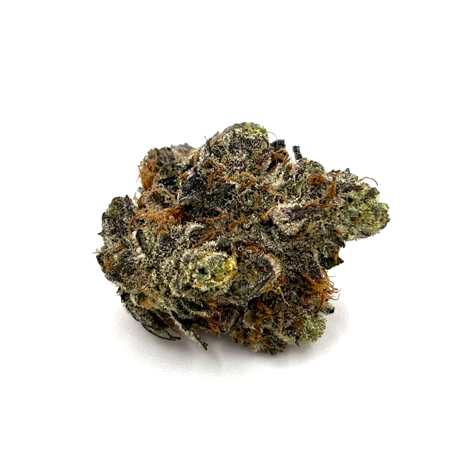 Hollywood by Cookies